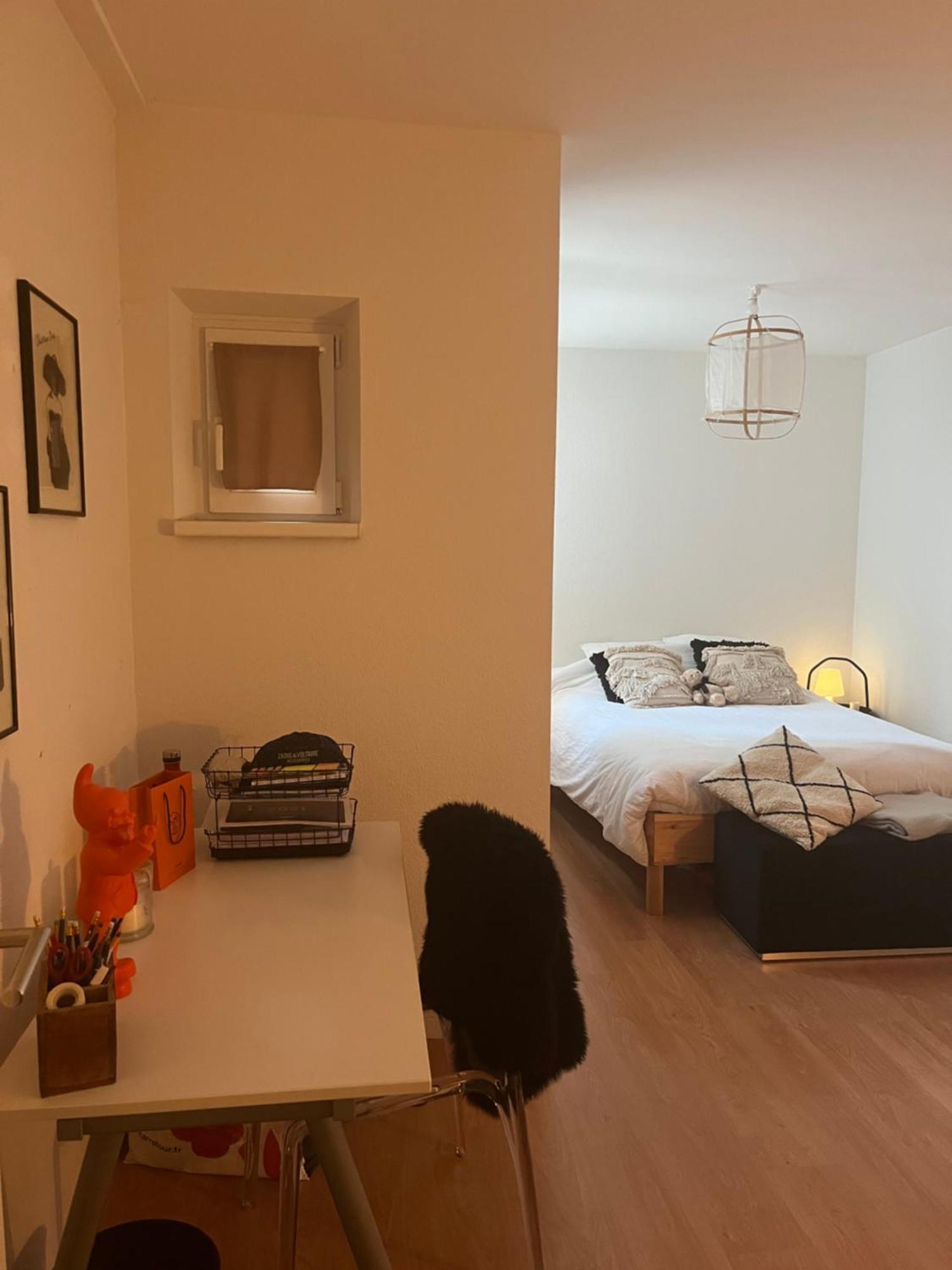Joli Appartement Au Coeur De ستراسبورغ المظهر الخارجي الصورة